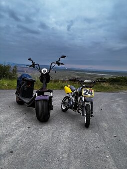 Eco wheel Chopper - 6