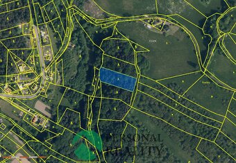 Prodej lesy, 6 901 m2 - Loučky  u Turnova, ev.č. 01900 - 6