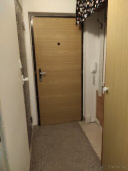 Pronájem 1+1 45m2 ,Dvořákova ulice , Cheb - 6