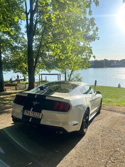 Ford mustang 3.7 V6 Automat - Keyless, Kamera, Roush - 6