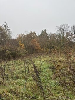 Prodám pozemky v k.ú. Hostivař - 6