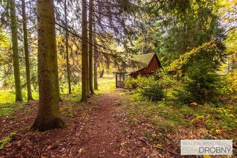 Prodej Chaty 38m2, České Lhotice - 6