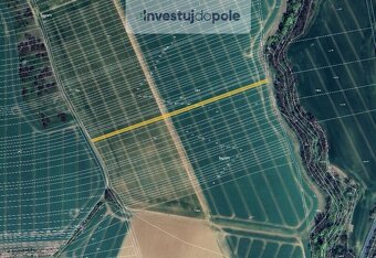 Prodej pole v k.ú. Kostelec u Kyjova, Hýsly a Moravany u Kyj - 6