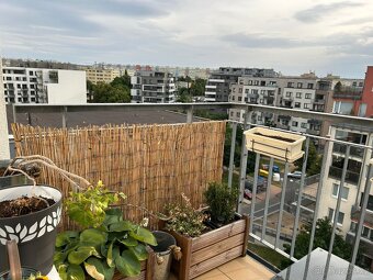Pronájem bytu 1+KK ulice Zakšínská Praha 8 Střížkov - 6