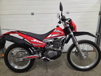 Beta Alp 200 - 6