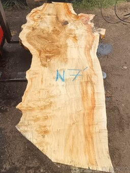 Extrémní řezivo ,velké desky,fošny ze starého Negunda - 6