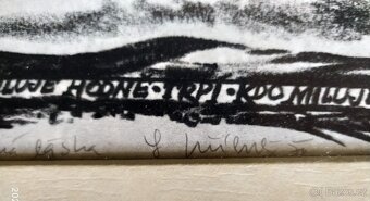 Nabízím tři grafické listy v rámečku od jedno autora- neznám - 6