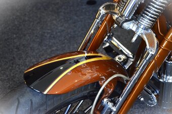Harley Davidson FXSTSSE2 Softail Springer 110 - 1.majitel - 6
