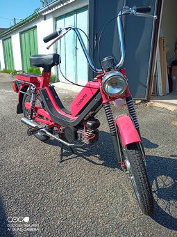 Prodám babettu - 6