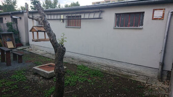 Pronájem garáže, Vizovice, Štěpská - 6