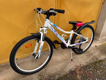 Superior Paint 24 dětské kolo s páčkovým řazením - 6