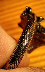 Prsten v podobě draka - 6