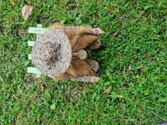 Stará soška Krakonoš - 6