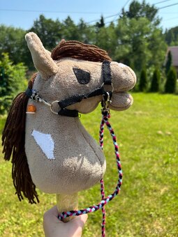 Hobby horse - 6