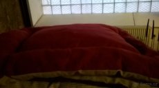 novy velky pelisek 110/80/15cm - 6