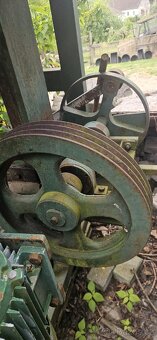 Jednolistý katr jednuška - 6