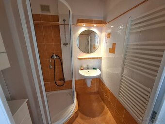 Pronájem bytu 3+1 Lutín - 6