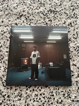 PRODÁM VINYLY VIKTOR SHEEN - 6