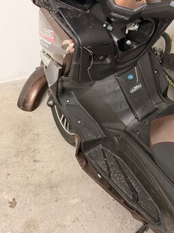 Kentoya Maximus r.v. 2024 - 6