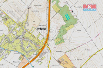 Prodej lesa, 4332 m², Držovice - 6