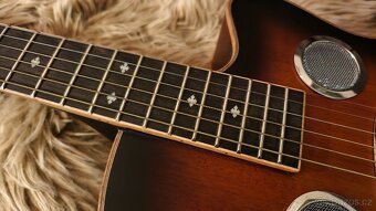 Dobro Resonator Guitar Gold Tone - 6