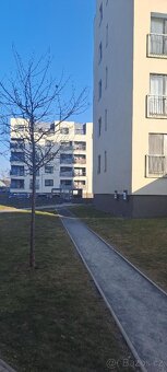 Pronájem bytu 2+kk 45 m² Praha - Uhříněves - 6