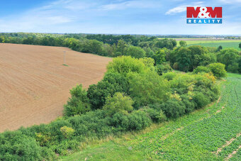 Prodej lesa, 1302 m², Velké Všelisy - 6