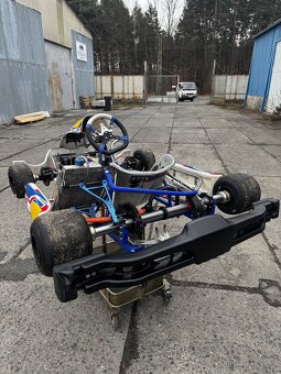 Motokára MS Kart Blue Phoenix ø30mm - 6