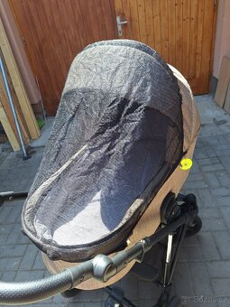 Dorjan Dream 2023 - 6