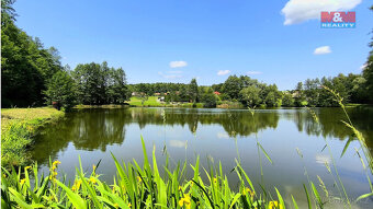 Prodej zahrady, 793 m², Petrovice u Karviné - 6