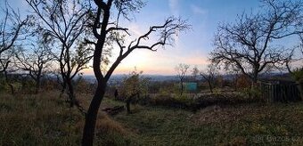 Prodej zahrady v Brně - 6