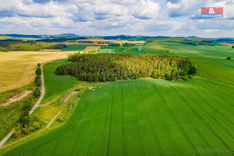 Prodej pozemku k bydlení, 1471 m², Srby - 6
