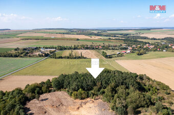 Prodej lesa, 9132 m², Panoší Újezd - 6
