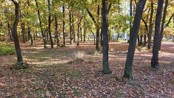 Prodej stavebního pozemku 1261 m² Vltavská, Březová-Oleško - - 6