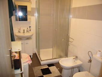 Pronajmu 3+kk 61 m2 - 6