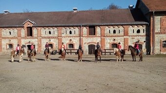 Ustájení koní na Šumavě - 6