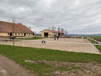 Pastevní ustájení - 6