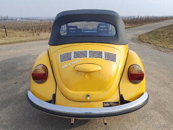 VW brouk Cabrio - 6