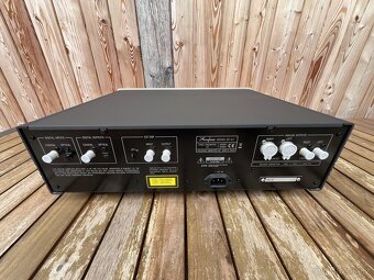 ACCUPHASE DP-67 - 6