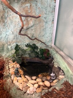 Terárium 120x86cm - 6