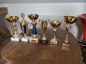 sportovní poháry - 6