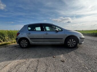Peugeot 307 - 6