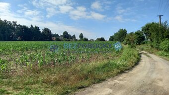 Prodej pozemků o celkové výměře 50.358 m2, Termesivy - Havlí - 6