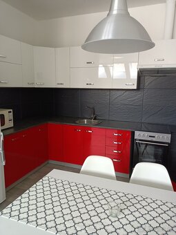 Pronájem velkého bytu 1+kk - 6