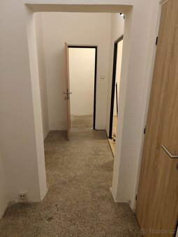 Pronájem 2+1 62m2 - 6