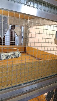 Prodám sestavu klecí pro drobné ptactvo z regálu - 6