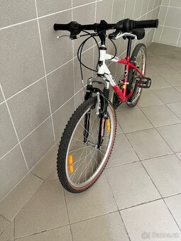 Detske kolo 24’’ - 6