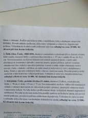 Starožitný nábytek - 6