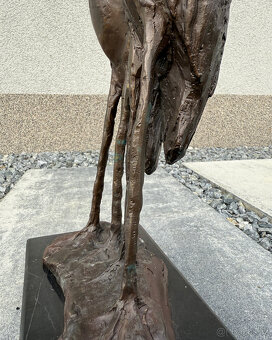 Bronzová socha Pár marabu exotická soška ptáků luxusní dekor - 6