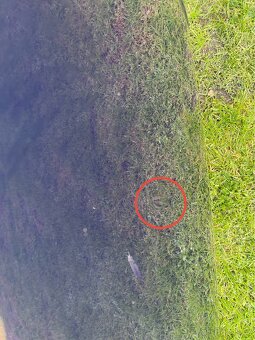 Prodám kapotu golf iv - 6